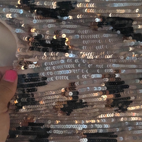 BRAND NEW WITH TAGS Adrianna Papell Beaded Mesh Dress - Picture 12 of 12